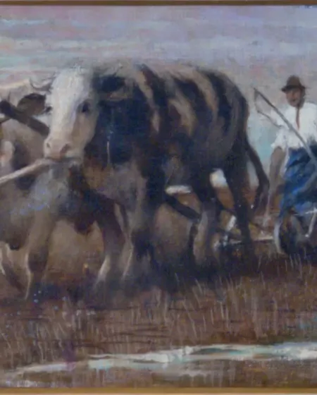 Robert Schlosser – Oráč z Kostic
