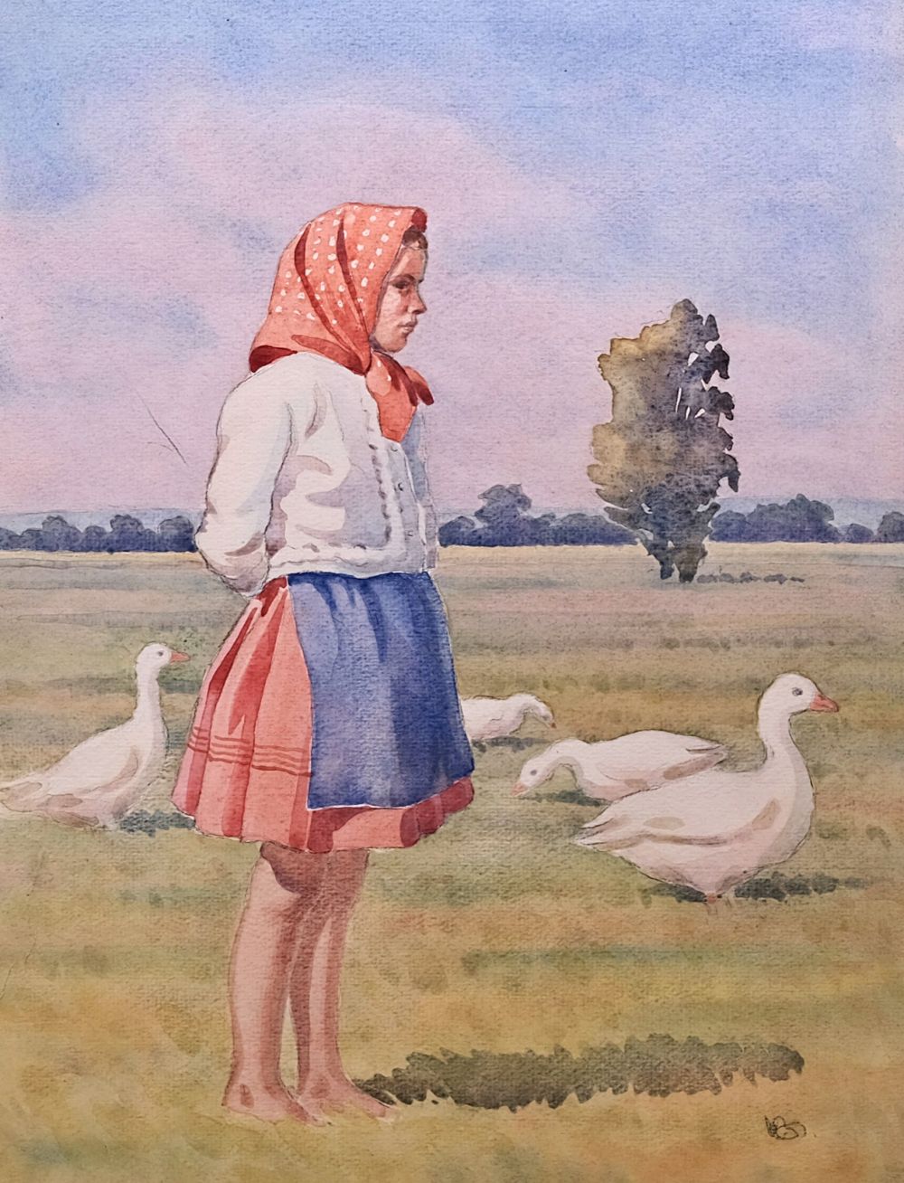 Karel Božek – Husopaska