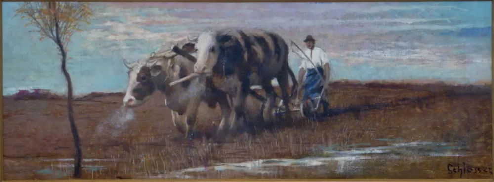 Robert Schlosser – Oráč z Kostic