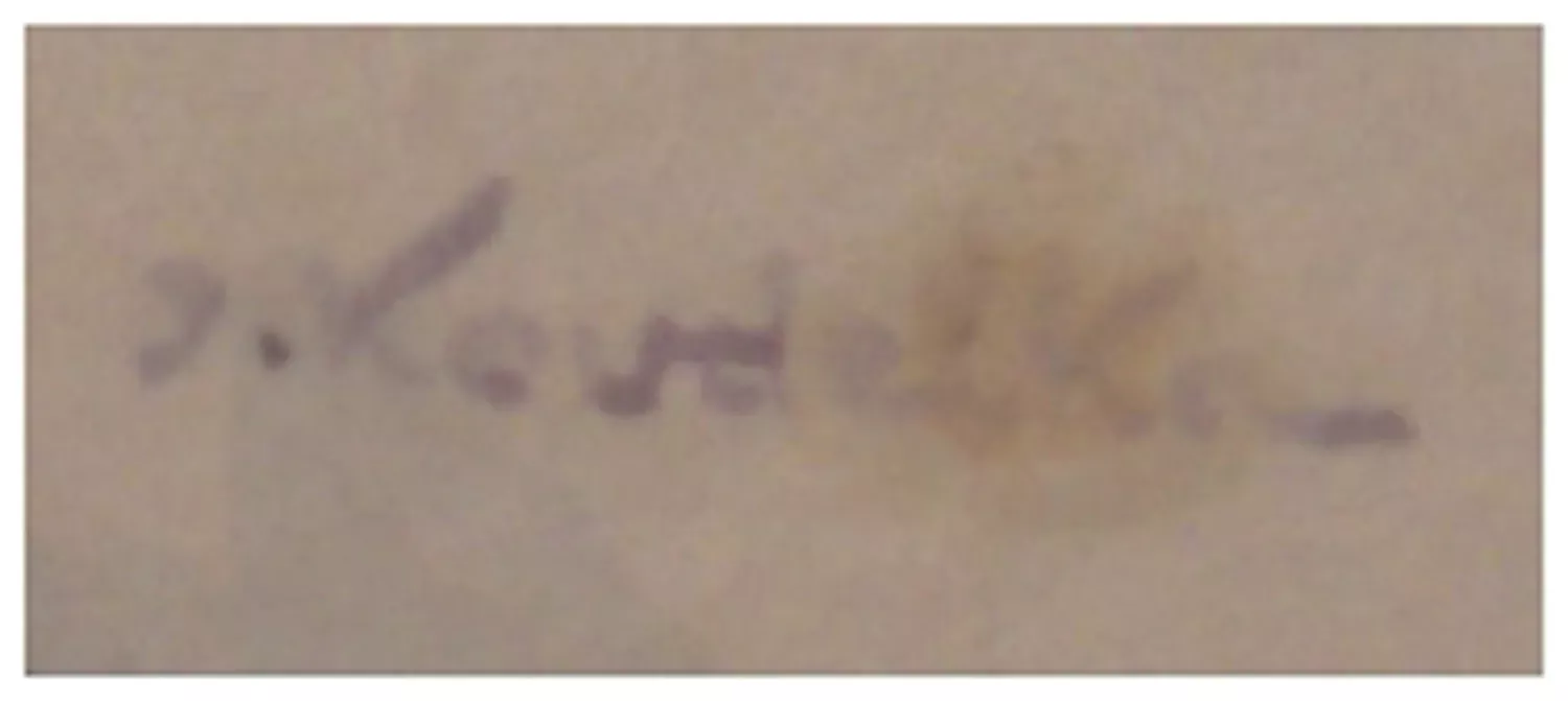 Josef (Joža) Koudelka – Děvče z Podluží