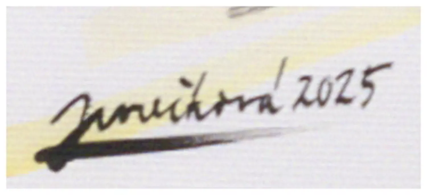 Lenka Jurečková – Studie Podlužácká svatba 1